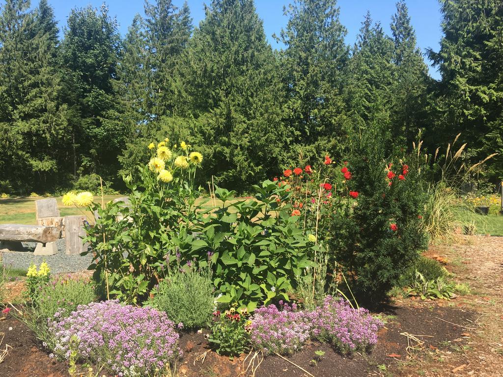 Ashling Cottage Qualicum Beach Εξωτερικό φωτογραφία